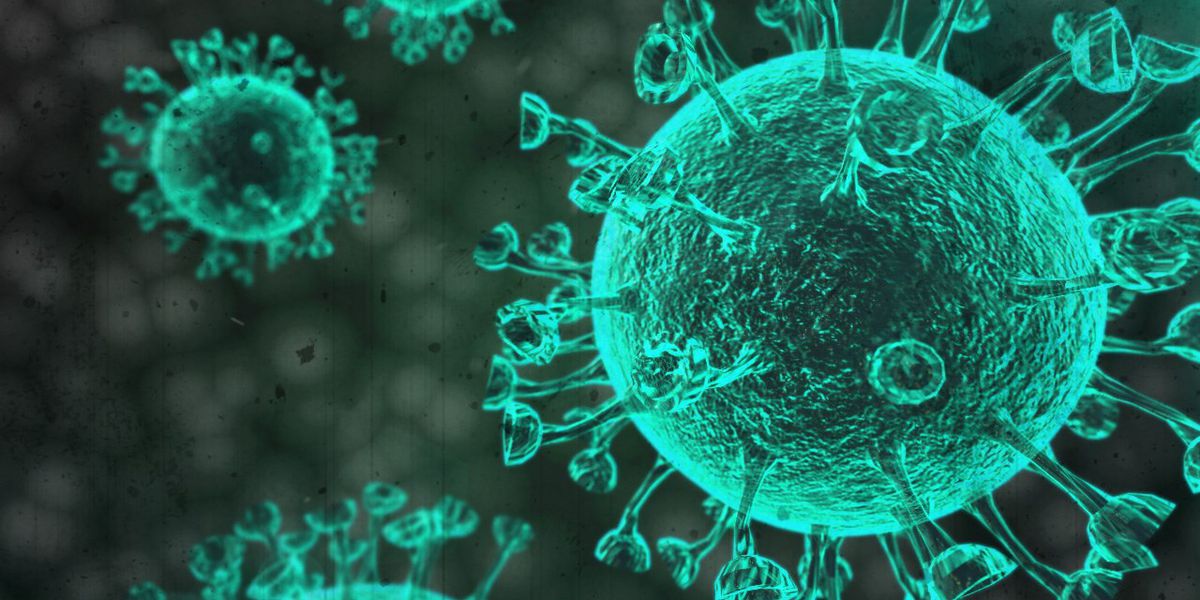 Coronavirus Spreading in Virginia